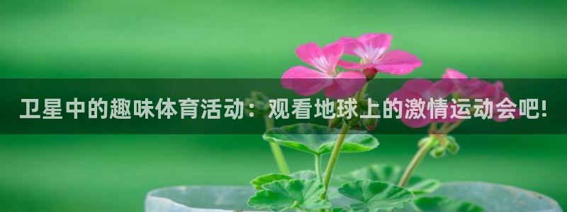 必一运动体育