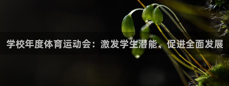 必一运动最新产品有哪些