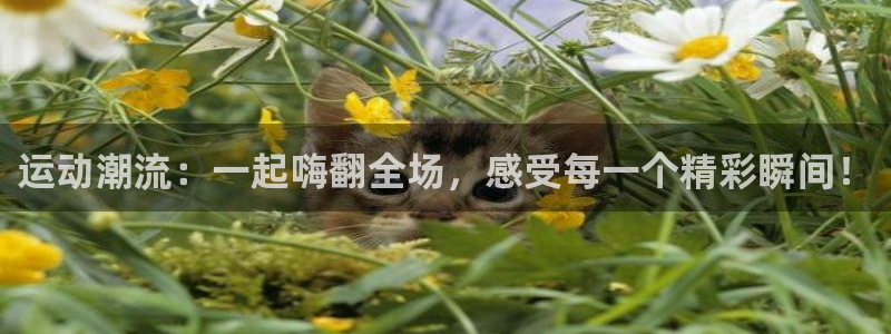 必一运动全站