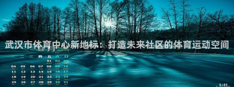 必一运动全站：武汉市体育中心新地标：打造未来社区的体育运动空间
