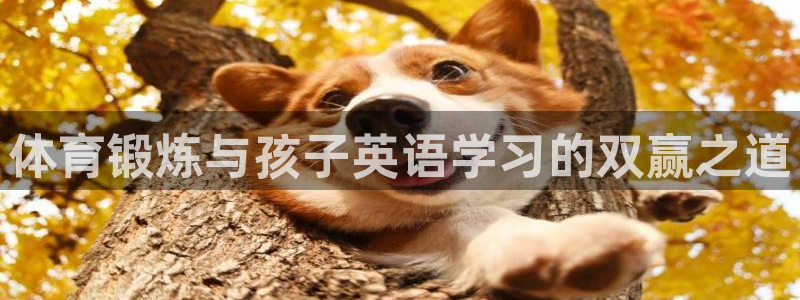 bsports官网 必一运动